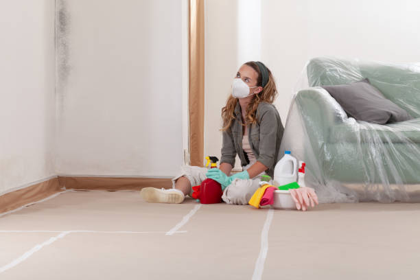 Reliable Black Mold Remediation contractor in Farmersville, TX by Mold Remediation HQ